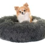 The Comfort Your Dog Deserves With a Cosy Calming Dog Bed